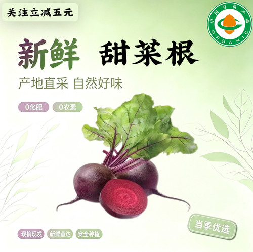 有机认证甜菜根3斤现摘现发