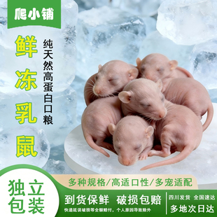 冷冻乳鼠小白鼠红粉皮包邮冻干高蛋白饲料玉米蛇猫龟守宫角蛙食物