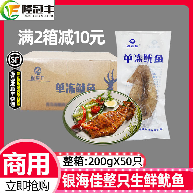 整箱银海佳单冻鱿鱼生鲜整条去内脏铁板烧烤火锅鱿鱼筒泰式商用