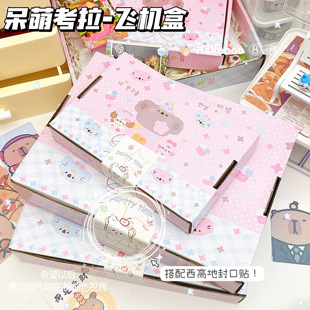 可爱呆萌考拉飞机盒高颜值ins风大容量打包送礼收纳装饰礼品盒