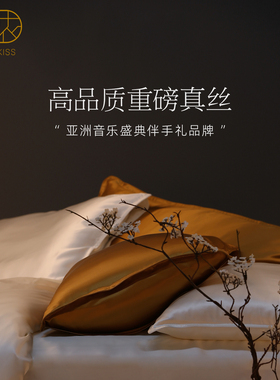 高级礼物』丝侬双面真丝枕套五星酒店单人桑蚕丝枕头套丝绸礼盒装