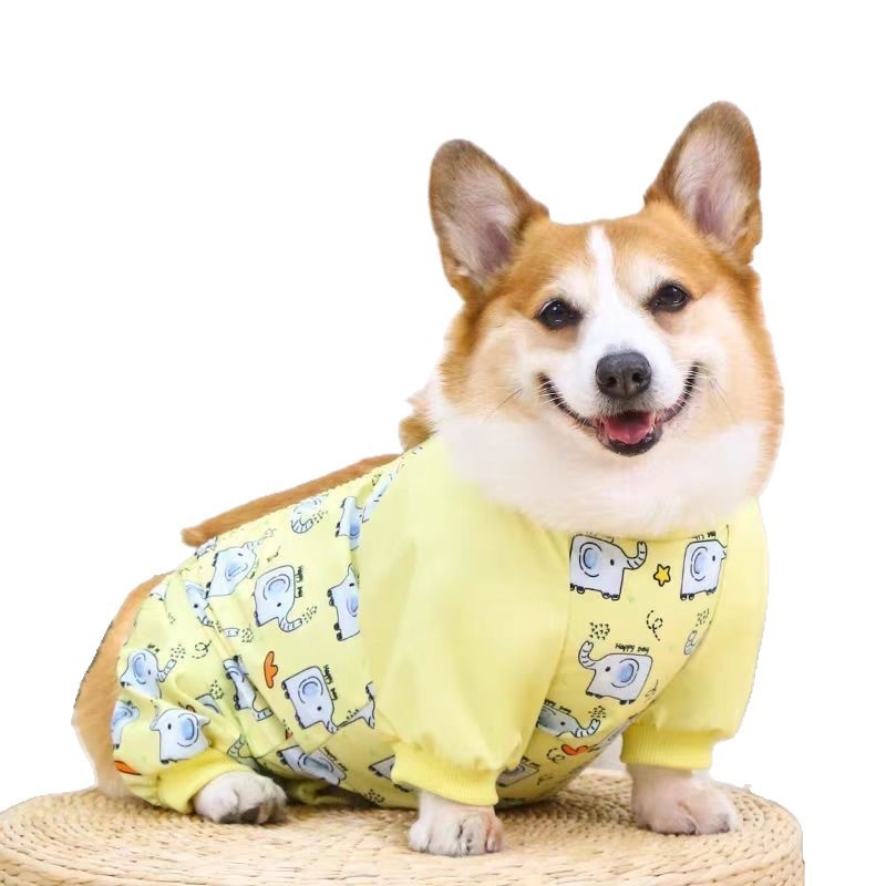 中小型犬衣服可爱服饰宠物服饰防脏宠物护肚防脏防尘防虫四季通用