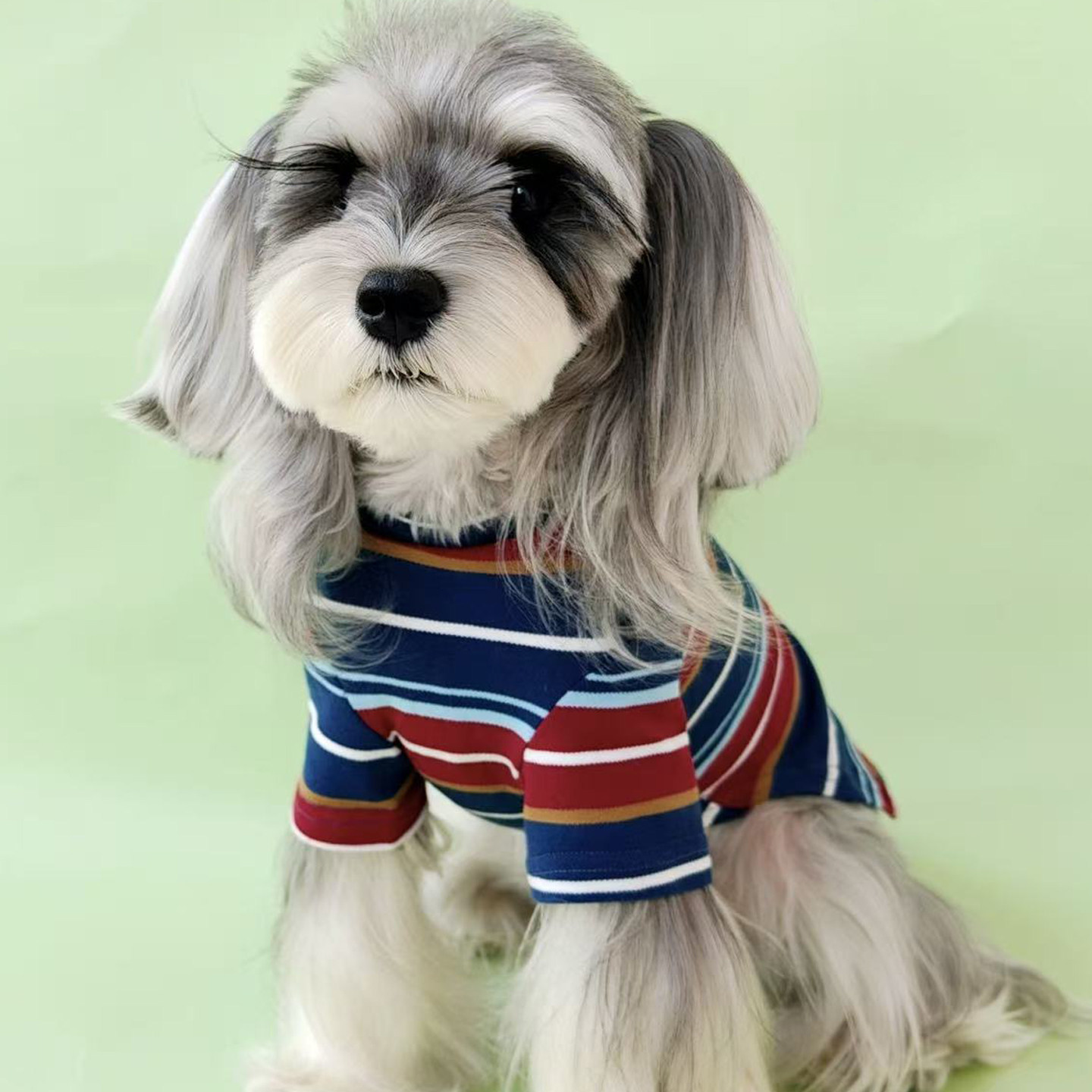 亚马逊新款狗狗衣服春夏薄款宠物T恤条纹雪纳瑞泰迪比熊柴犬短袖
