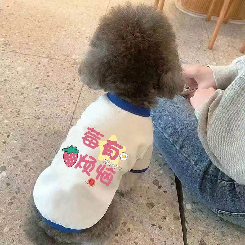 夏天ins宠物狗狗猫咪衣服四季潮牌帅气薄款夏短布偶猫咪两脚卫衣