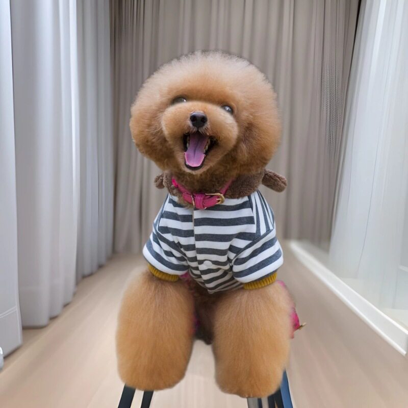 秋冬泰迪宠物保暖加厚摇粒绒四脚棉衣狗狗衣服带帽四腿吉宠物冬季