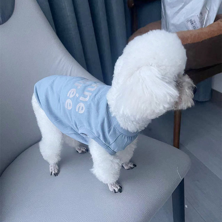 新款春夏装全棉宠物衣服泰迪比熊猫咪背心中小型犬狗衣服