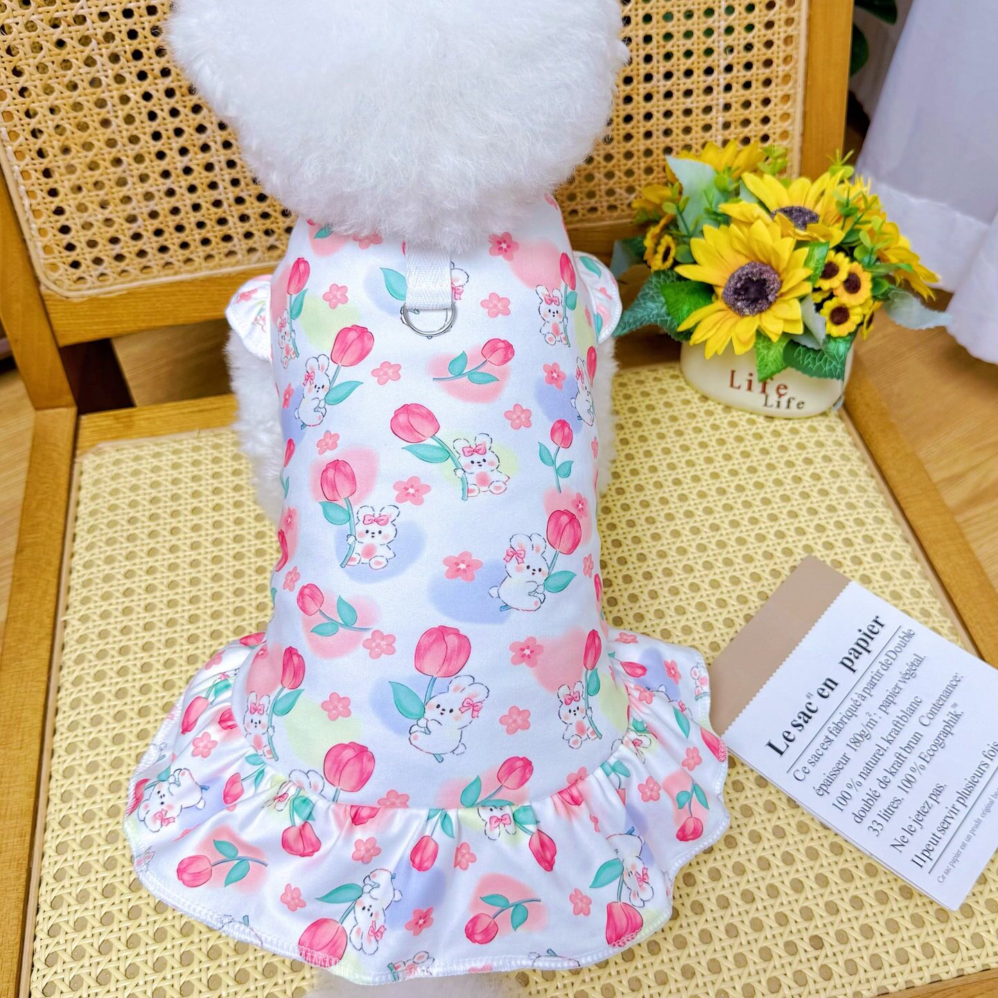 狗狗衣服秋春款背心大狗狗衣服猫咪泰迪柯基金毛小中型犬连衣裙子