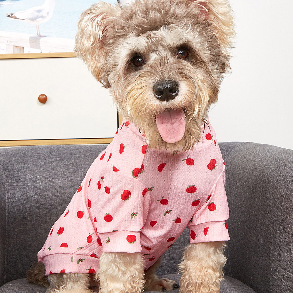 小型犬狗衣服水果印花可爱猫咪服装时尚宠物用品批发个性宠物衣服