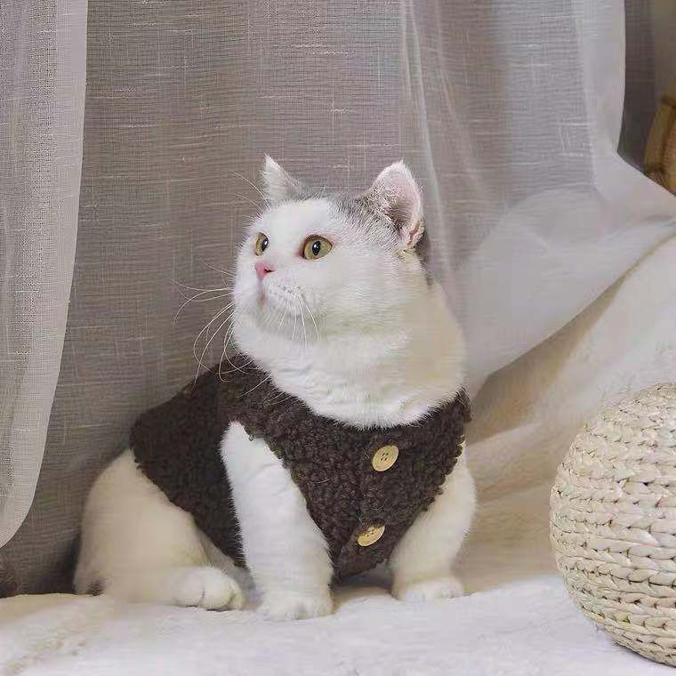 猫咪衣服秋冬天防寒泰迪茶杯犬加绒羊羔绒马甲背心狗狗宠物衣保暖
