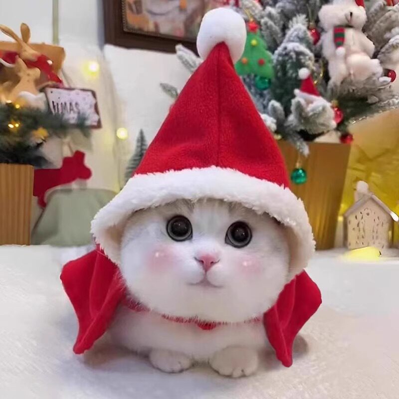猫咪圣诞披风小红帽斗篷秋冬季保暖新年过年宠物衣服猫猫狗狗披肩