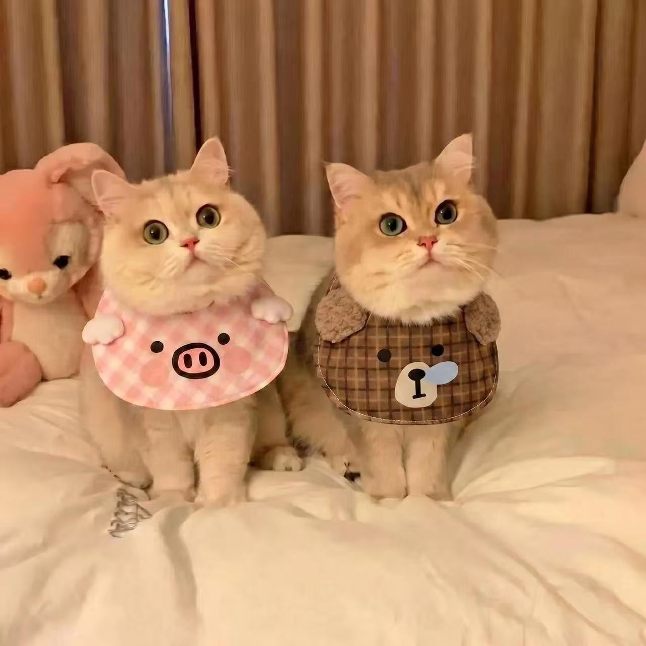宠物口水巾可爱猫咪卡通动物围脖拍照装饰中小型犬围兜