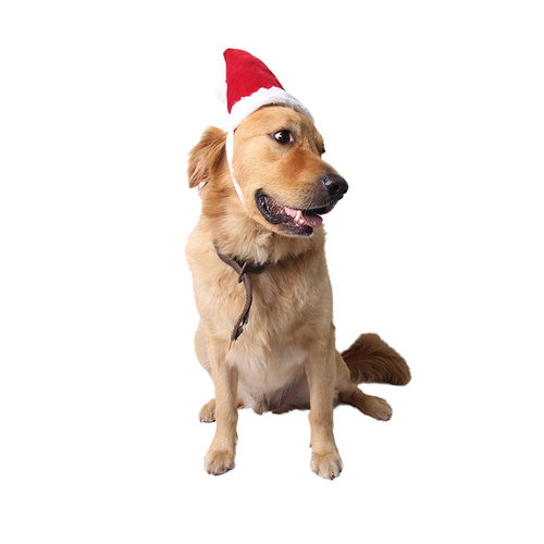 圣诞节饰品厂Christmas猫咪派对用品欧美跨境变装宠物圣诞红帽子