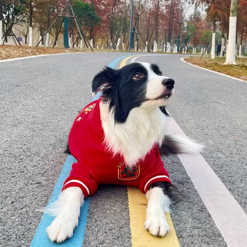 宠物狗狗衣服秋冬加绒新年红色喜庆卫衣金毛拉布拉多德牧中大型犬