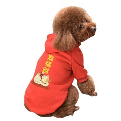 狗狗衣服泰迪秋冬装保暖加厚卫衣比熊博美宠物小狗小型犬新年衣服