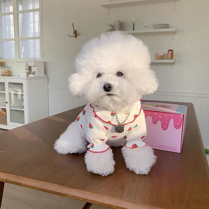宠物草莓打底衫泰迪比熊贵宾小型犬狗狗衣服幼猫猫咪春秋新款服装