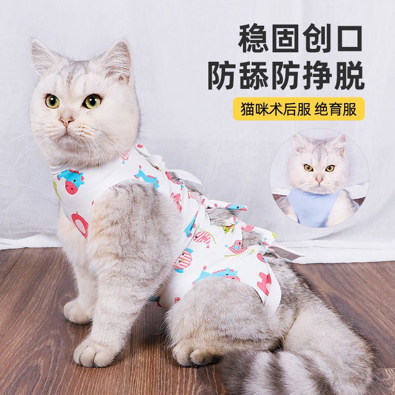 猫咪绝育服母猫手术服衣服透气戒奶断奶服公猫防舔术后宠物可调节