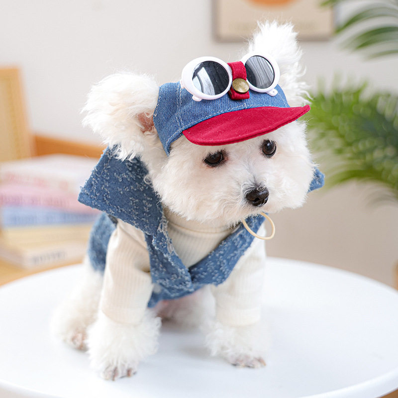 PETCIRCLE宠物小狗猫咪帽子棒球帽防晒遮阳帽墨镜套装小型犬狗
