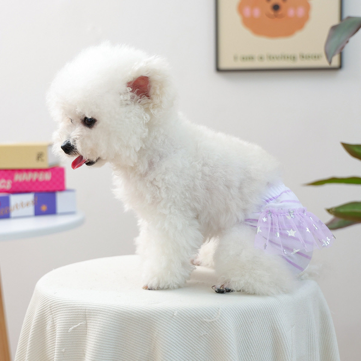 PETCIRCLE宠物狗狗猫咪生理裤姨妈裤防骚扰安全裤可爱小型犬