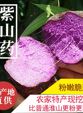 正宗新鲜紫山药现挖5斤赣州农产品当季紫色脚板薯种子紫淮山毛薯