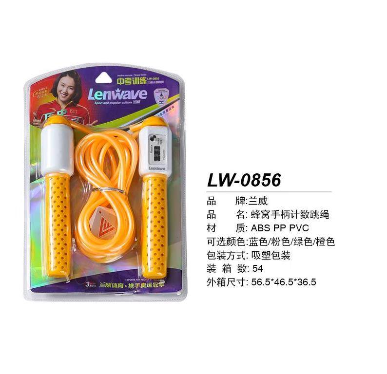 兰威儿童青少年中考训练计数跳绳
