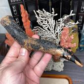 天然新款 雕刻海柳烟嘴过滤芯循环清洗粗中细烟三用送礼物不动明王