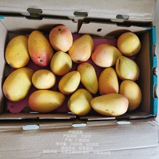 广西田东大小台芒、桂七芒