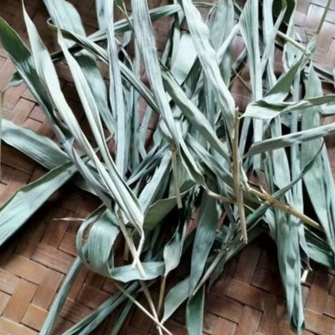 哀牢山苦竹叶中药材,老偏方现摘竹叶晒干传统中药材清热包邮医用