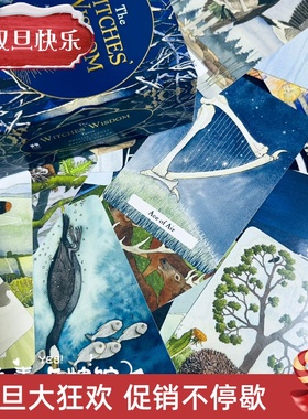 现货 送牌袋 The Witches' Wisdom Tarot 智慧塔罗牌