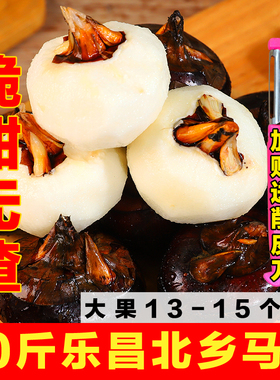 正宗即食乐昌北乡马蹄 农家新鲜绿色水果蔬菜荸荠 韶关乐昌特产