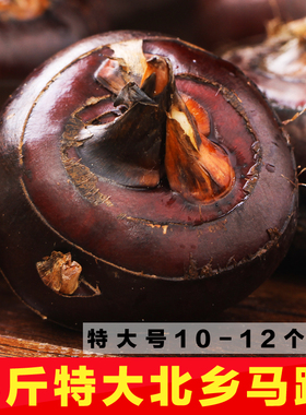 特大正宗乐昌北乡马蹄 农家新鲜绿色水果蔬菜荸荠 地栗5斤礼盒装