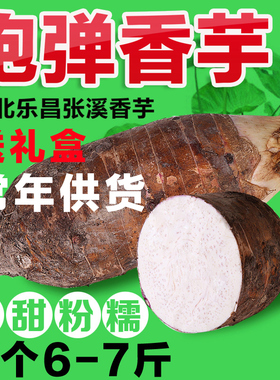 正宗韶关乐昌张溪香芋 农家新鲜绿色蔬菜炮弹芋头 槟榔芋6-7斤1个