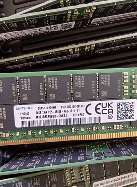 现货全新 三星64G 4800 DDR5 64G ECC REG服务器内存 RDIMM 含税