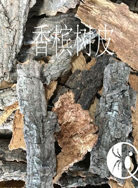 【祁one】爬宠树皮蜘蛛 蝎子 蜥蜴守宫蜈蚣躲避造景香槟木