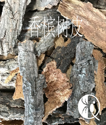 蜘蛛蝎子蜥蜴守宫蜈蚣躲避造景