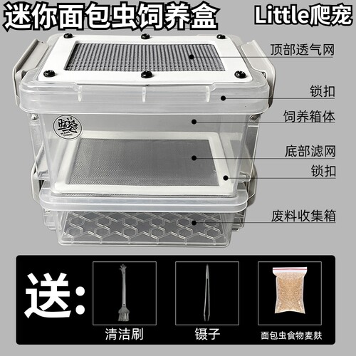 桌面寝室办公室迷你面包虫滤屎饲养箱防臭防潮九龙虫筛选粪便养殖