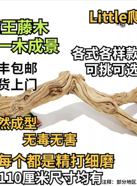 爬宠霸王藤木雨林缸造景守宫鬃狮蜥蜴睫角蛇攀爬藤条树栖天然木头