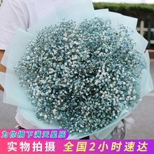 深圳超大满天星毕业花束鲜花速递同城福田南山宝安龙岗生日送花店