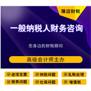 一般纳税人财务咨询服务 账务处理 税务申报 会计问题