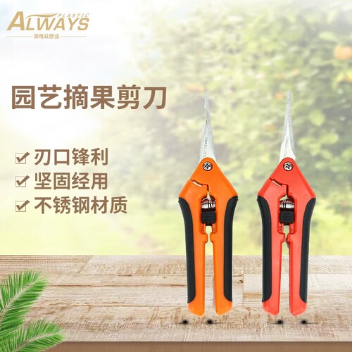 实力厂家现货园艺剪刀直头弯头园林修剪园林工具不锈钢修枝剪刀