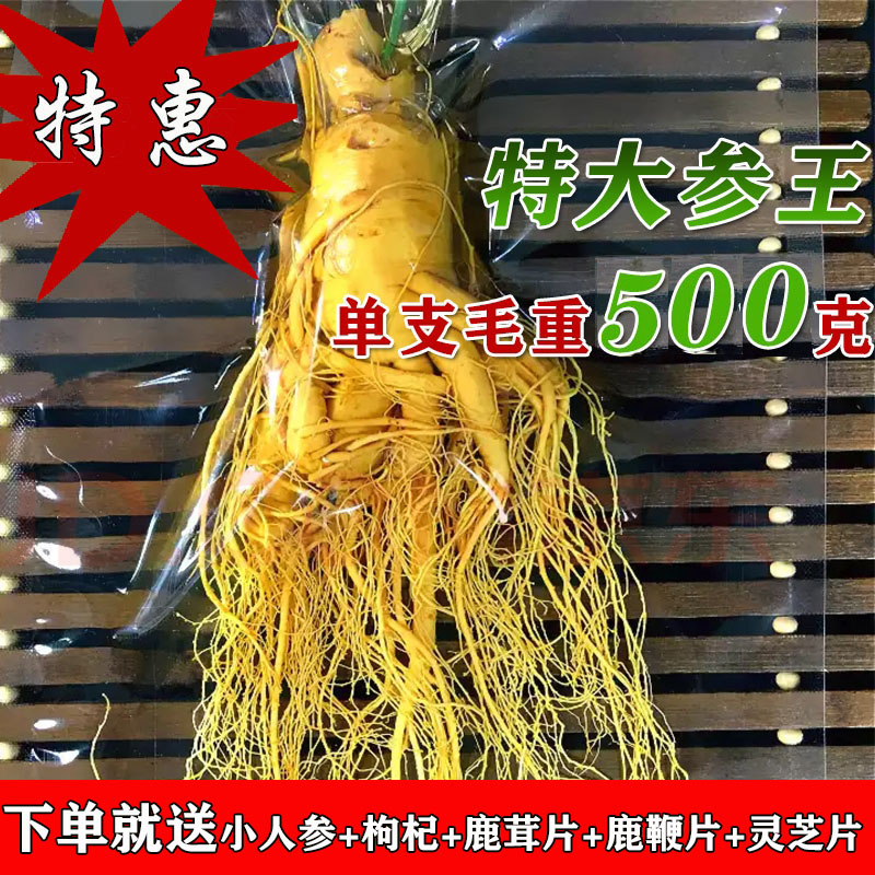 长白山野生人参高品质鲜人参保鲜参真人参泡酒煲汤大参包邮