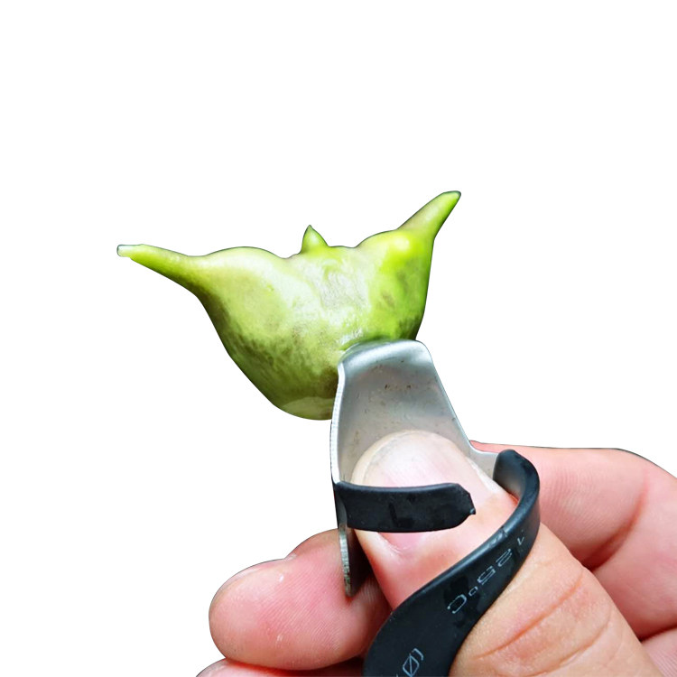 加厚小巧剥壳器新品指甲神器图片