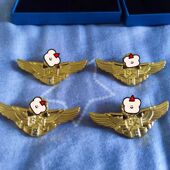 正品 美国空军胸针飞行员徽章胸章纪念章纪念品收藏品航空公司飞行