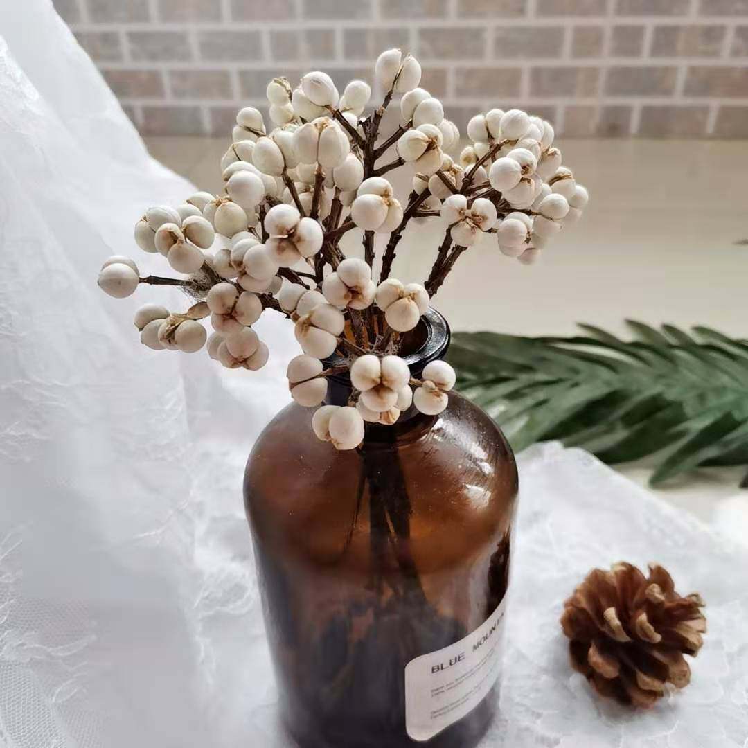 小白果民宿植物装饰松果干花diy材料拍照道具高级感轻奢高档摆件,家居饰品,干花/花瓣/干花包/干树枝,淘宝优惠券,粉丝福利购,淘宝优惠卷
