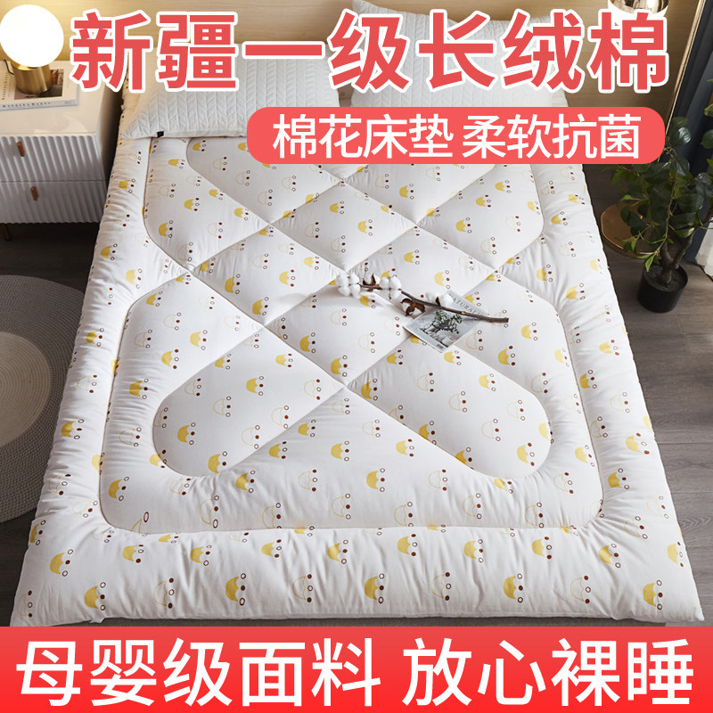 新疆棉加厚可水洗床褥两件套