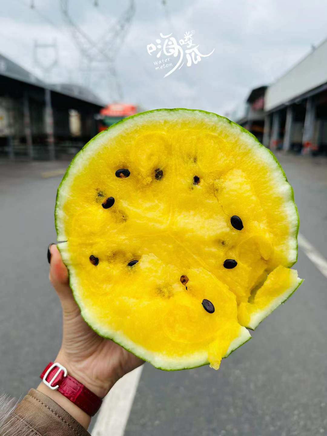 仅限上海闪送4只约13斤冰淇淋西瓜黄心皮薄多汁特小凤阔疆嗨喽瓜