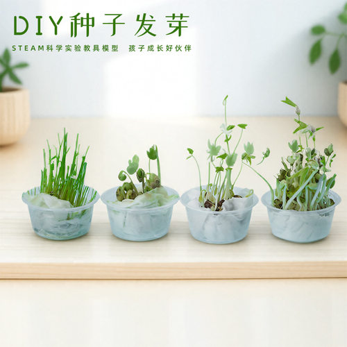 种子发芽植物培育水培养成长