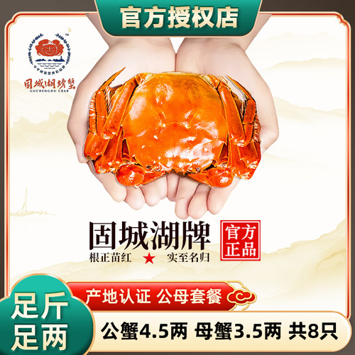 净重固城湖螃蟹8只公4.5两母3.5