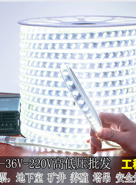 led灯带220V100米低压24v36v养殖户外防水工程工地下室隧道照明灯
