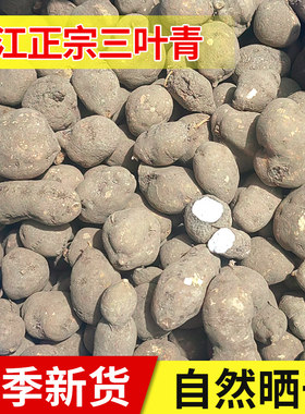 浙江野生三叶青250g新鲜干货金线
