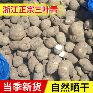 浙江野生三叶青250g新鲜干货中药材金线吊葫芦石老鼠清热祛火包邮